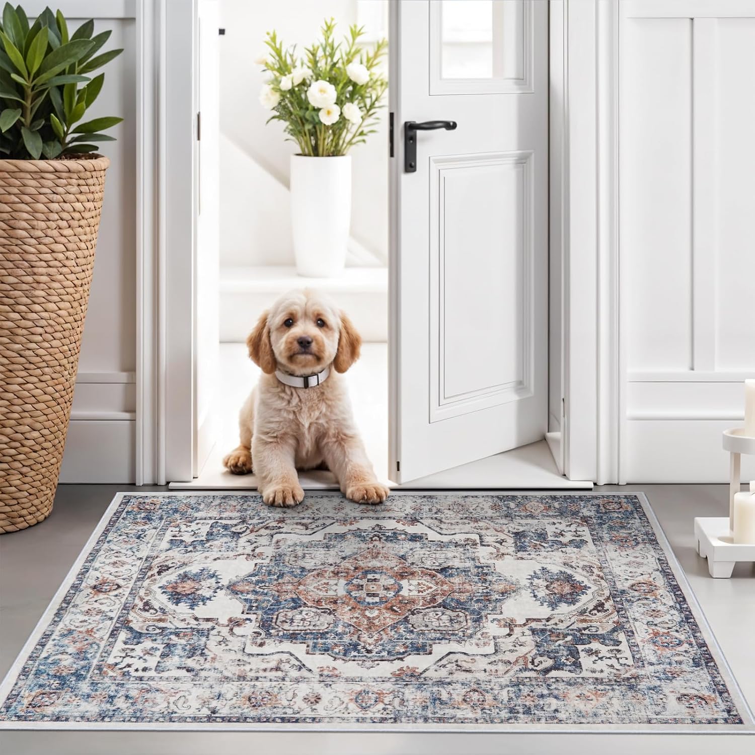 HY HAO YUN LAI Washable Large 9x12 Area Rug: Living Room Oriental Non Slip Soft Rugs Indoor Low Pile Stain Resistant Carpet for Bedroom Dining Room